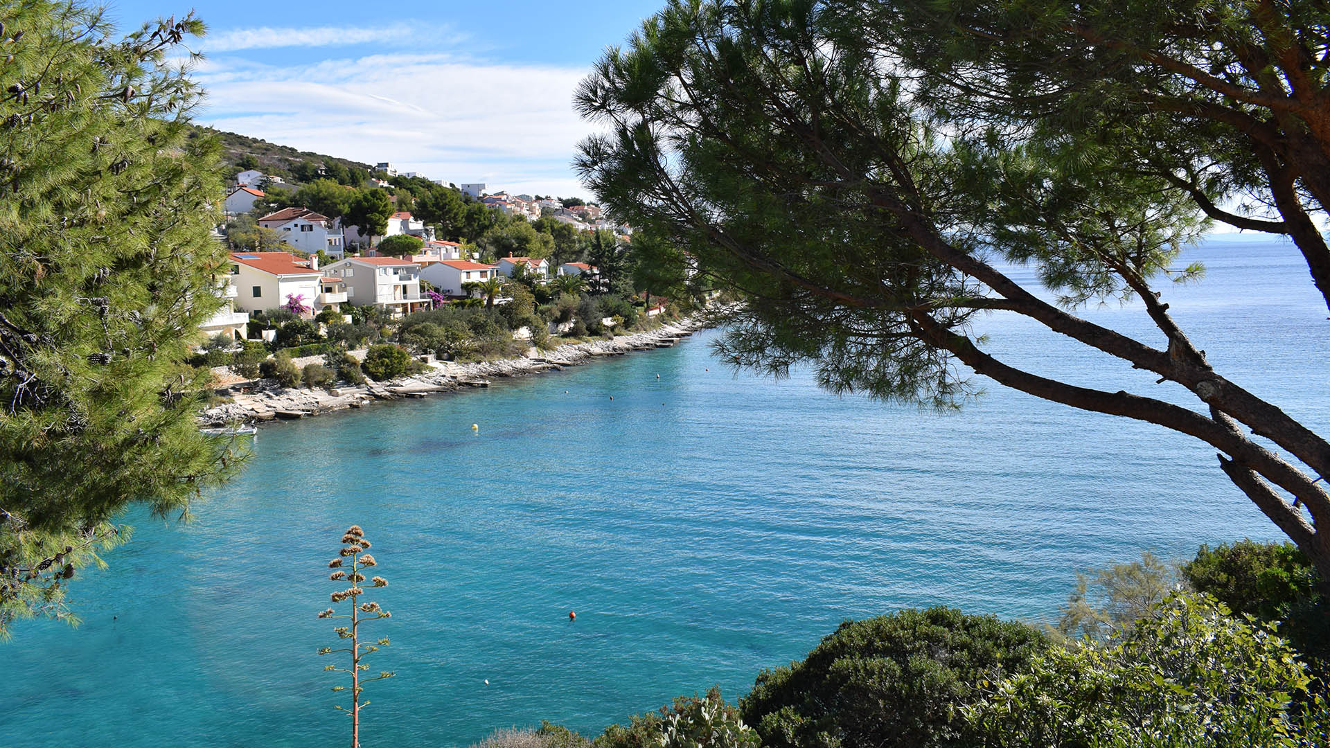 Apartment Skale I. - EOS Croatia