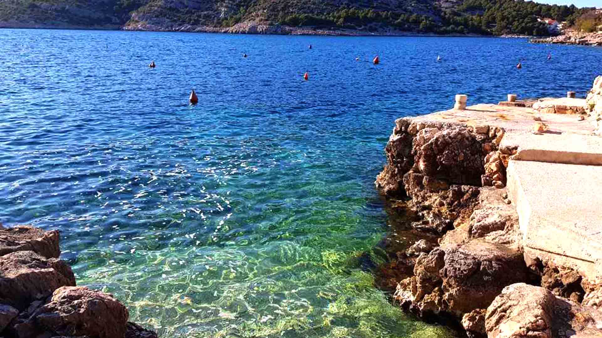Villa Stella with pool - Eos Croatia
