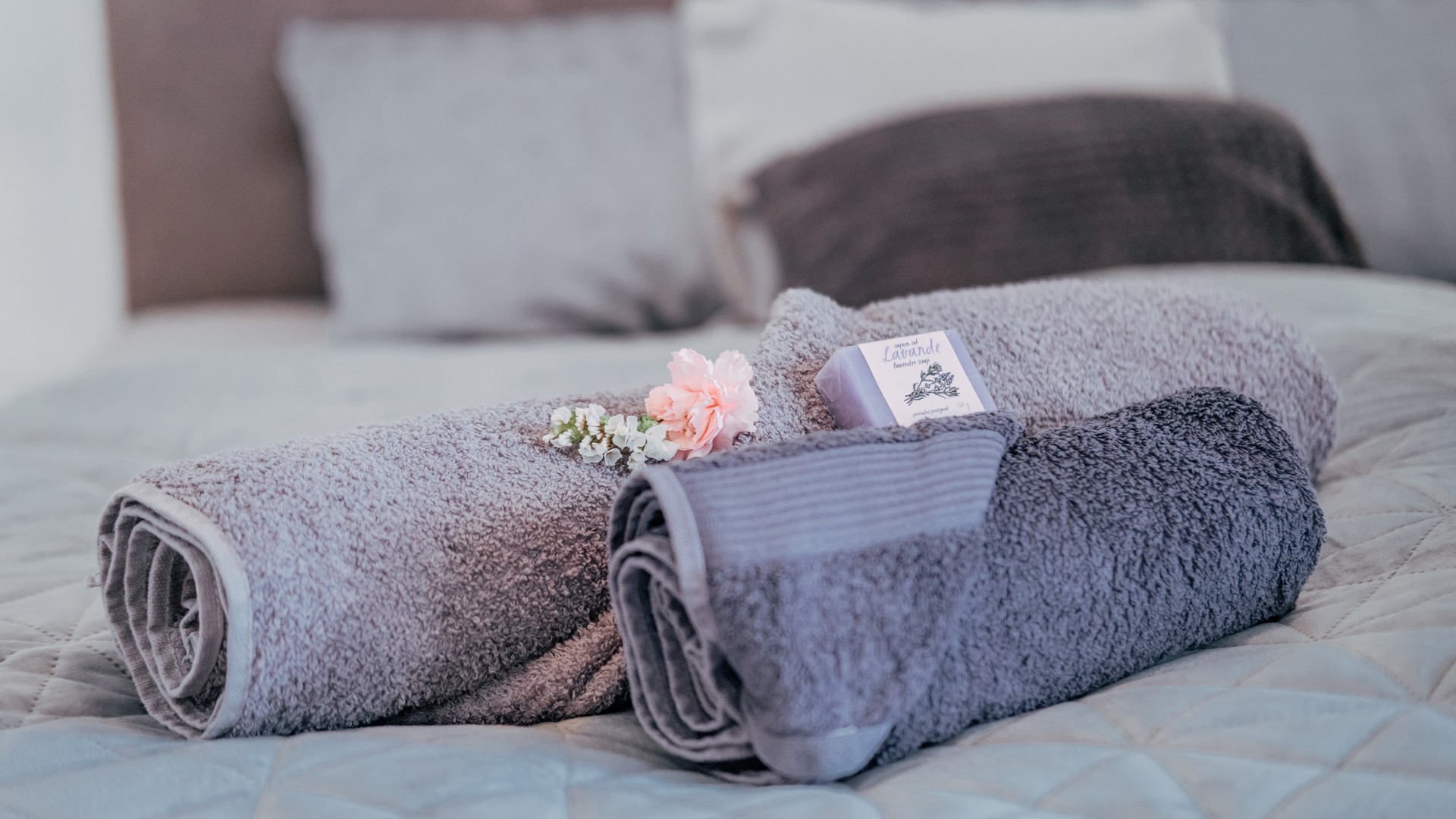 Luksuzni apartman Diana - EOS HRVATSKA