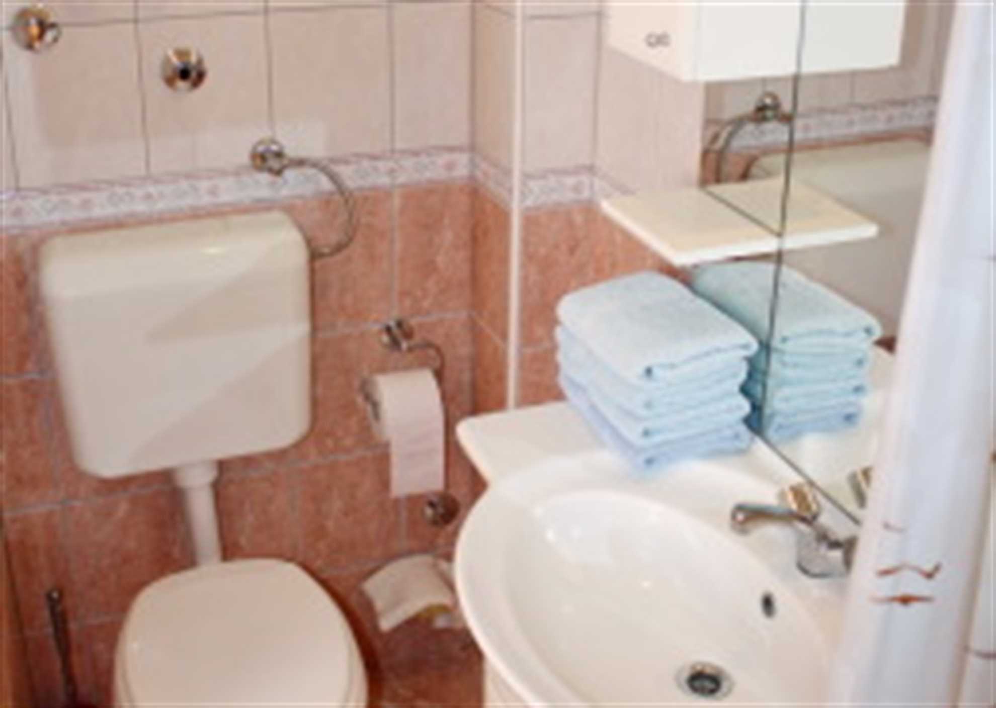 Apartment B1