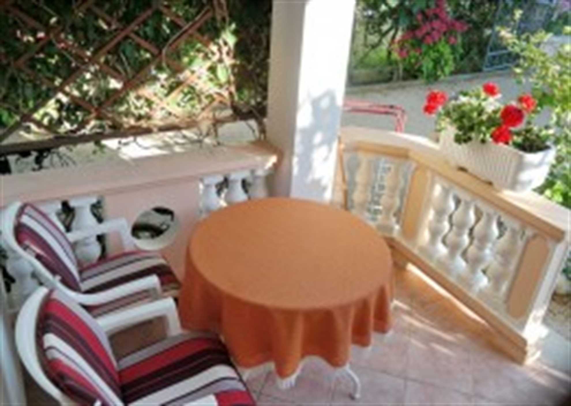 Apartment B1