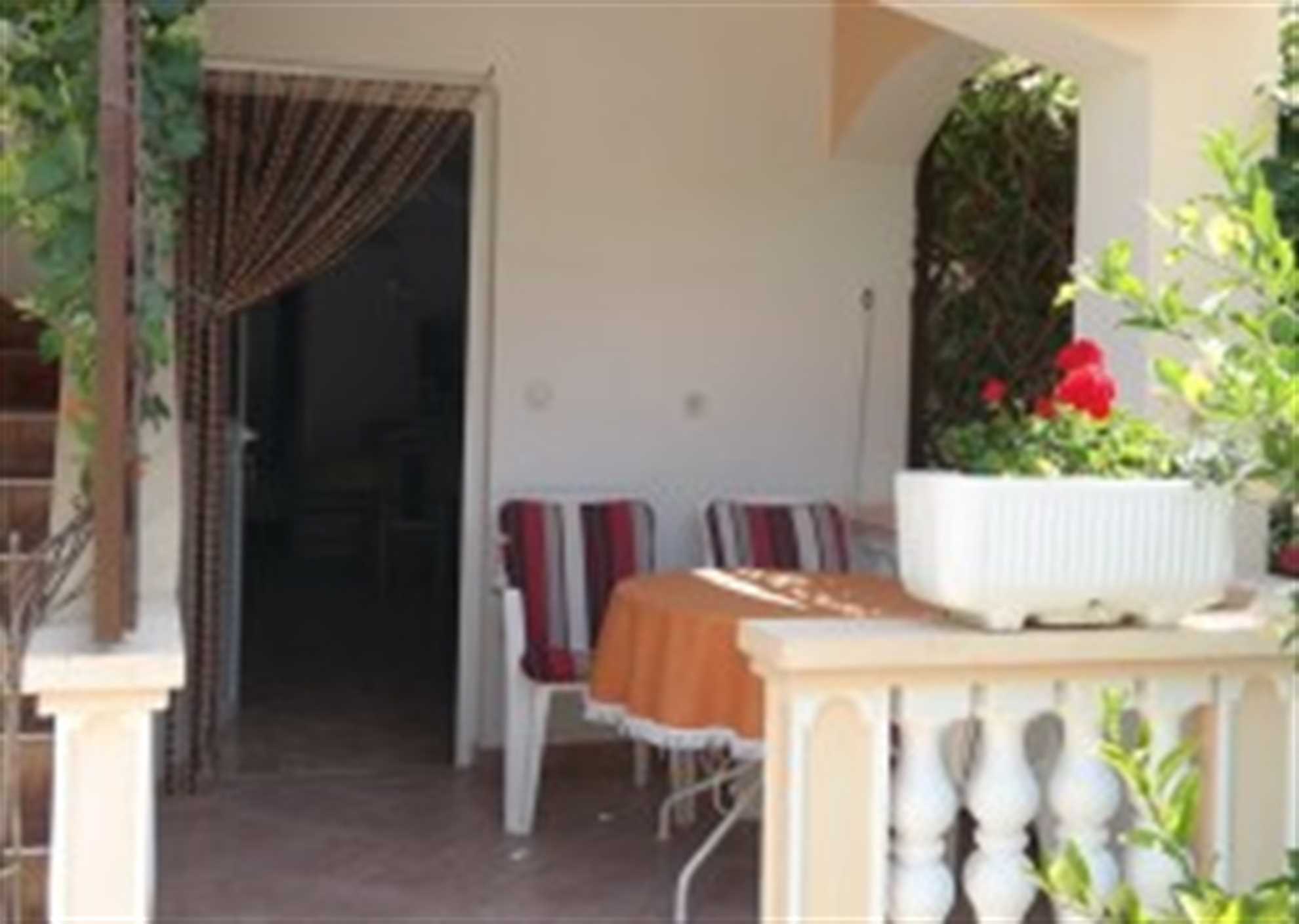 Apartment B1